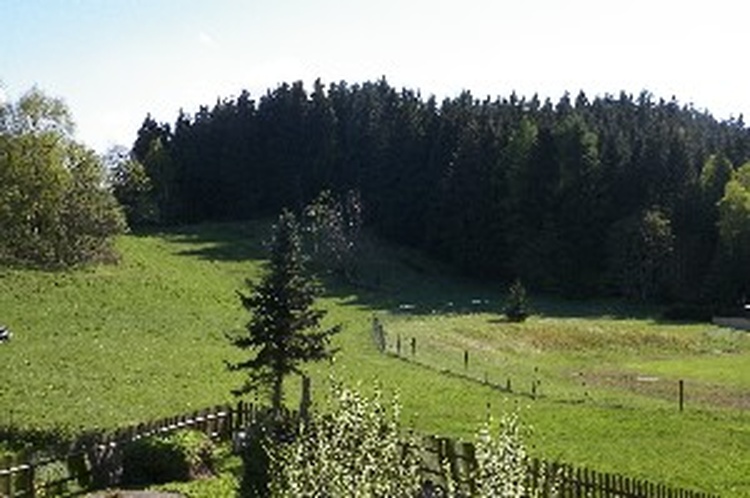 Blick zum Rodelhang am Weißwald