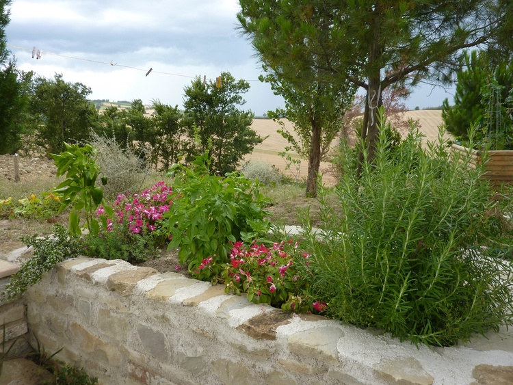 Kräuterbeet für alle Gäste