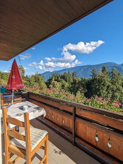 Balkon Ferienhaus Waldhof