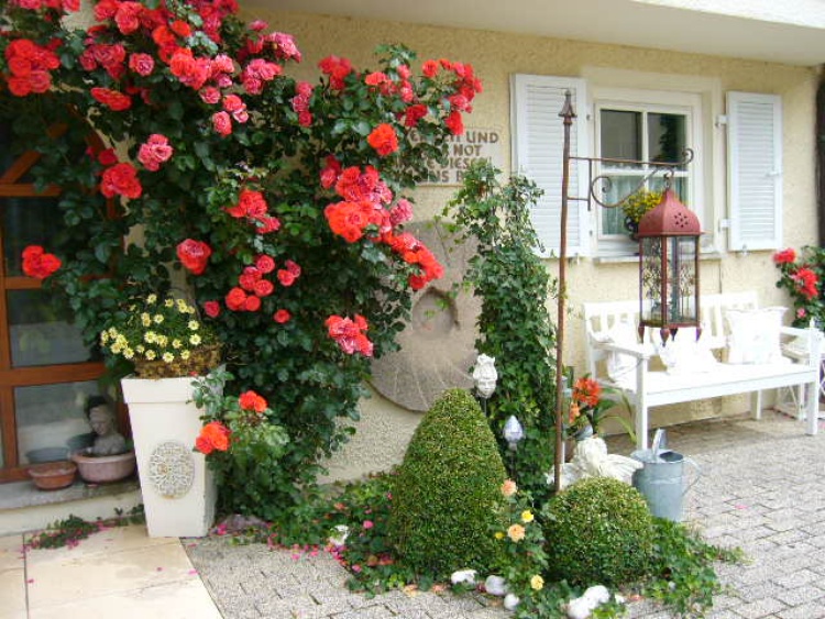 Am Hauseingang werden Sie von Rosen empfangen