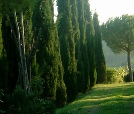 Ferienwohnung Barberino Val d'Elsa