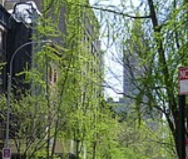 Ferienhaus Upper West side