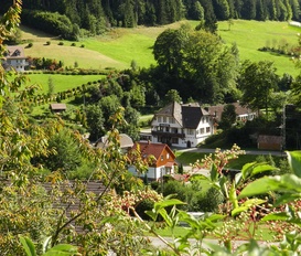 Ferienhaus Bad Rippoldsau-Schapbach