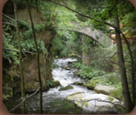 Ferienhaus Westerhausen