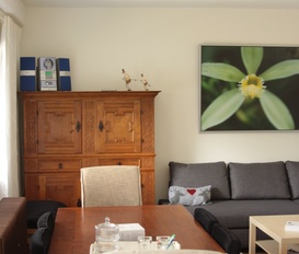 Appartment Muhlbach am Hochkönig