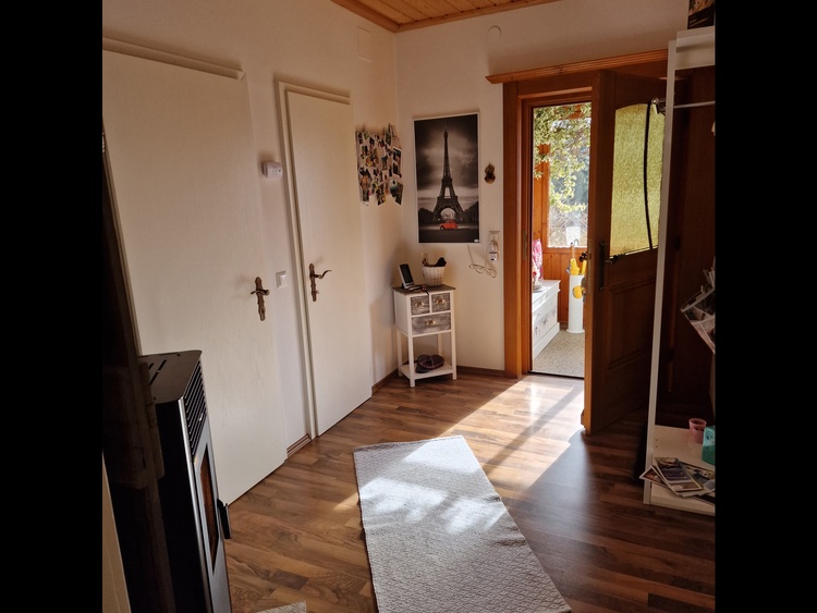 Vorraum, Eingang, Infrarotheizung, Pelletsofen