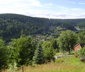 Ferienwohnung Klingenthal