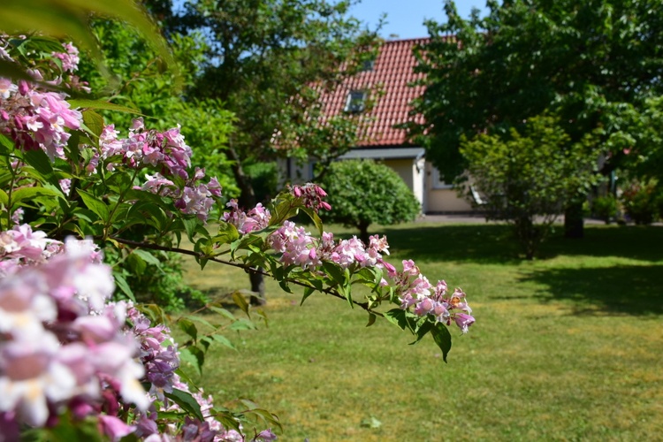 Gartenansicht