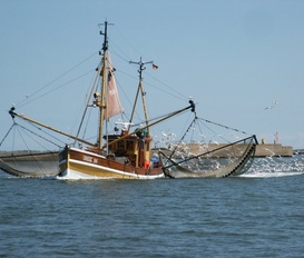 Ferienwohnung Tating