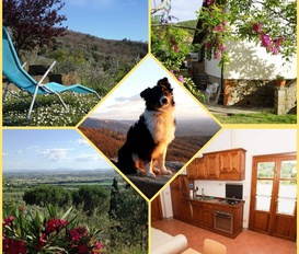 Holiday Apartment Cortona