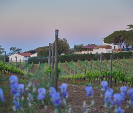 Bauernhof Massa Marittima