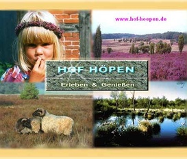 Bauernhof Schneverdingen