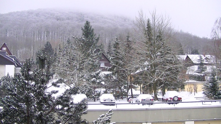 Winterfreuden vor dem Esstisch