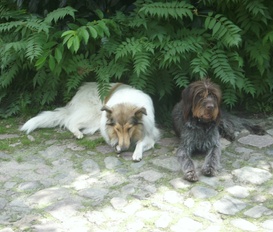 Ferienwohnung Kittlitz