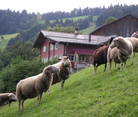 Ferienwohnung Valzeina