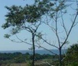 Ferienhaus Costa Rica Ferienwohnung Ferienhauser Ferienwohnungen Urlaub Auf Dem Bauernhof Privat