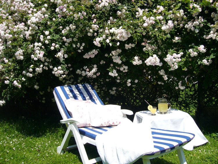 Wunderbare Entspannungsoasen