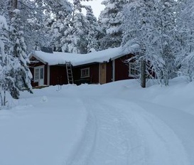 Ferienhaus Särvsjö