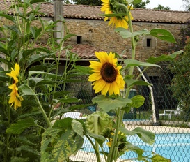 Ferienwohnung chalabre