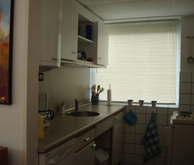 Ferienhaus Schouwen duivenland