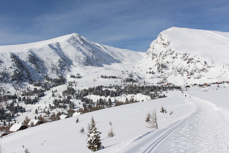 Langlaufloipe am Falkert