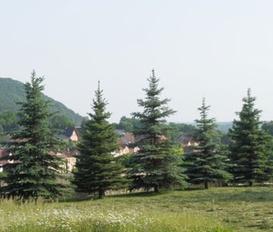 Ferienwohnung Kranichfeld