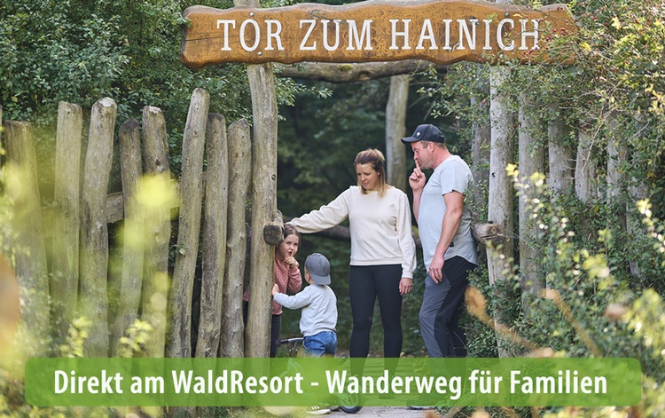 Der Wald vor der Haustür