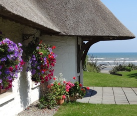 Hütte Bettystown