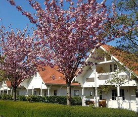Niederlande, Zeeland, Oostkapelle
