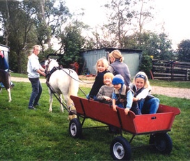 Bauernhof Tetenbüll