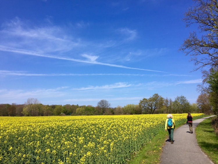 Wandern in Dahme