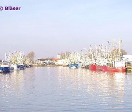 Ferienwohnung Büsum - Warwerort