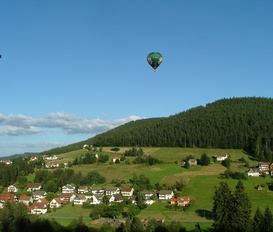 Ferienwohnung Baiersbronn-Mitteltal