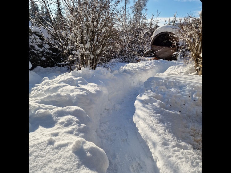 Panoramasauna im Winter Wonderland