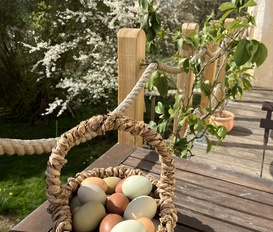 Bauernhof Käbschütztal