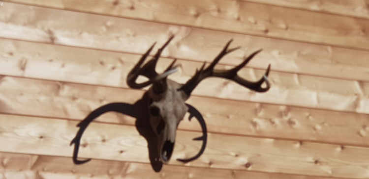 Maskottchen des Hauses