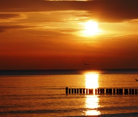 Ferienwohnung Koserow