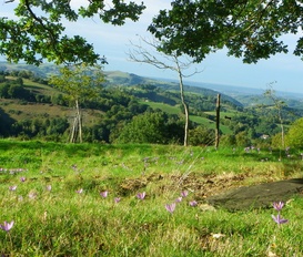 Ferienhaus Lourdes Ossun Ez Angles