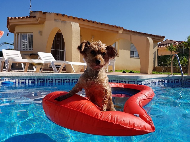 Ferienhaus mit Privatpool