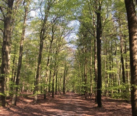 Ferienwohnung Kirchlinteln