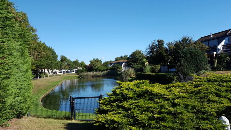 Traumhafter Blick auf den großen Teich
