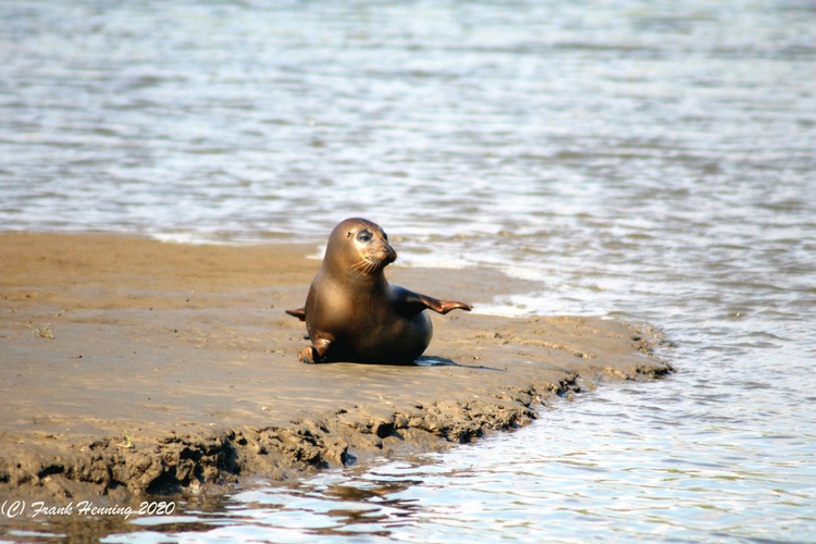 Haus am Watt - Intakte Natur
