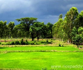 Ferienvilla Udon Thani