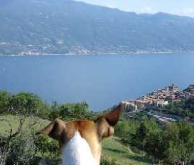 Ferienwohnung Tignale