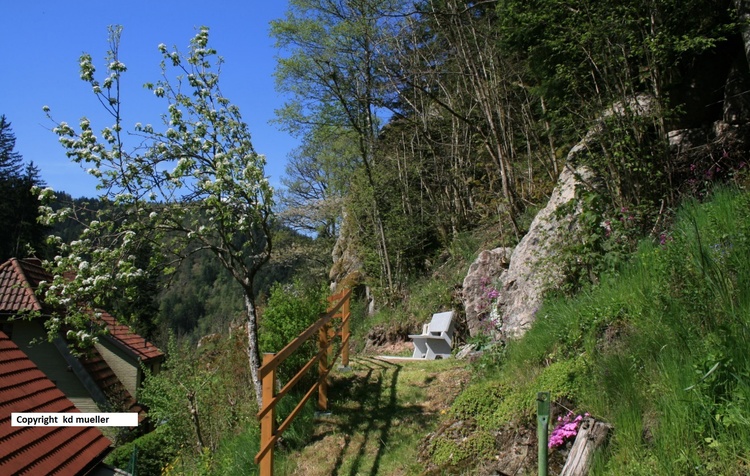 Bank oberhalb des Hauses