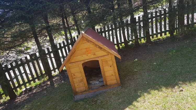Hundehütte im Garten, alles eingezäunt