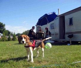 Bungalow Geierswalde
