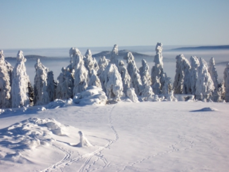 Winter am Schneeberg