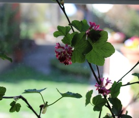 Ferienwohnung Kirchlinteln