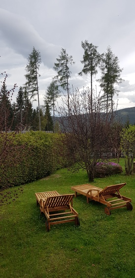 Liegen im eingezäunten Garten für Hunde geeignet